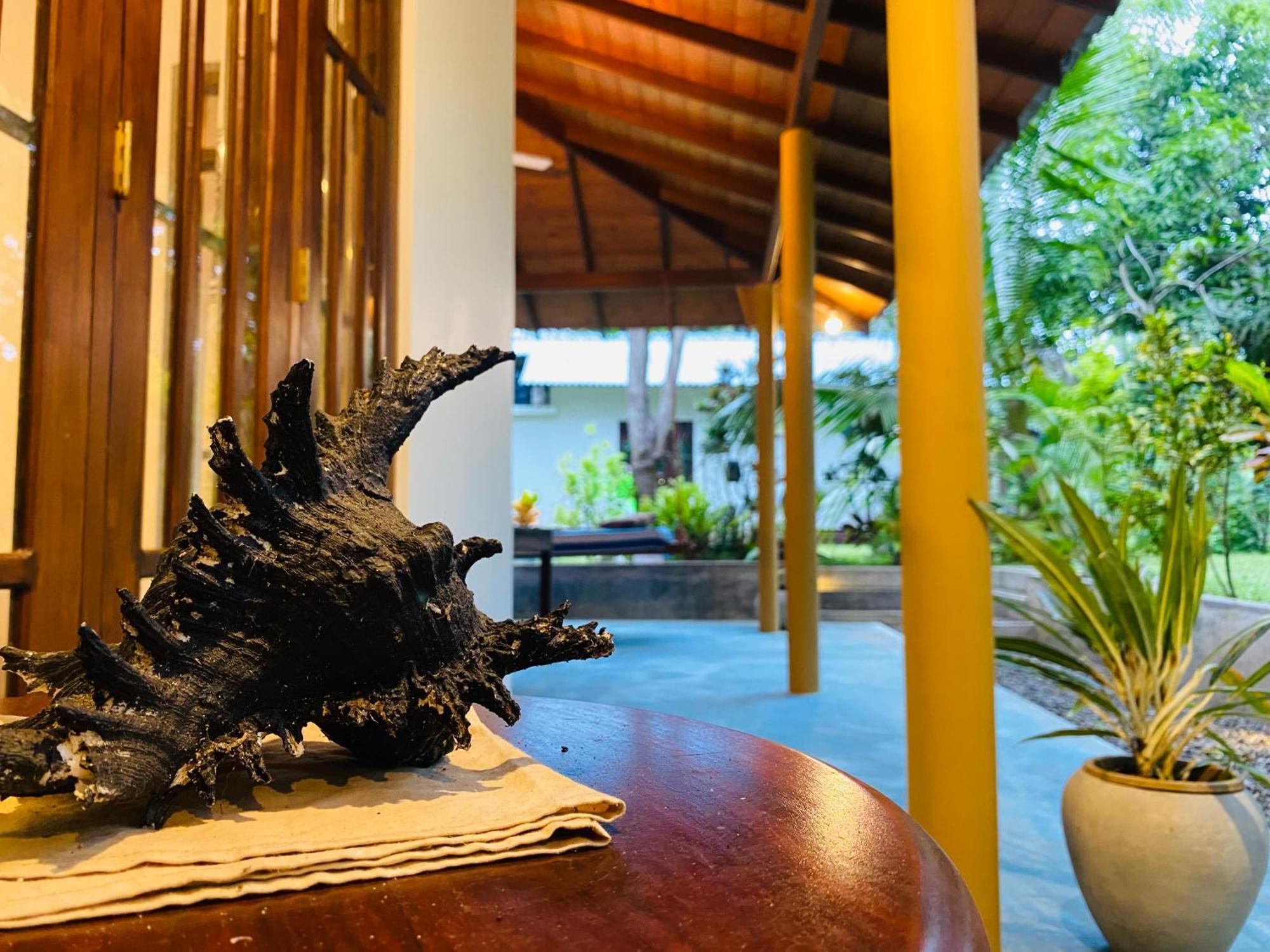 See Turtle Villa Tangalle Exterior foto